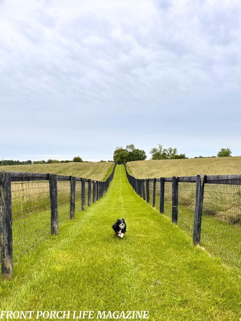 Sunrise at Evening Shade Farm